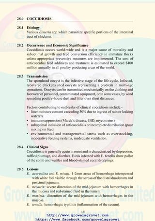 136
diligent management and monitoring especially if the vaccine is applied
over feed. Intraocular administration by spray or the insertion of a gelatine
cylinder impregnated with oocysts in the chick delivery box contributes
to an even distribution of vaccine through the flock.
Future control measures will include in ovo vaccination of broiler embryos
with a highly purified oocyst suspension (Inovocox®).Administration of
a vaccine (Coxabic®) derived from gametocytes to replacement pullets
has been shown to confer immunity to progeny, obviating the need for
anticoccidials.
101. Careful examination of
intestinal tracts from at
least 5 clinically normal
sacrificed birds per flock is
necessary to monitor for
coccidiosis.
102. Severe Eimeria tenella
infection showing
hemorrhagic ceca.
(Courtesy AAAP)
http://www.growelagrovet.com
https://www.facebook.com/growelagrovet
 