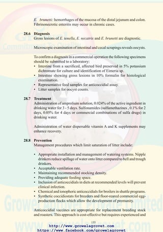 137
103. Obvious distention and
hemorrhage of the ileum
(middle of the intestinal
tract) due to infection with
Eimeria necatrix. These
lesions should be
distinguished from the
changes caused by Eimeria
maxima. This condition is
associated with concurrent
Clostridium perfringens
enterotoxemia leading to
necrotic enteritis.
104. Lesions of either Eimeria
acervulina or E. mivati
infection showing white
foci visible through the
serosa of the duodenum.
105. Severe Eimeria brunetti
lesion in the intestine,
proximal and distal to the
cecal bifurcation. (Courtesy
of Dr. W. Malcolm Reid,
AAAP slide set).
http://www.growelagrovet.com
https://www.facebook.com/growelagrovet
 