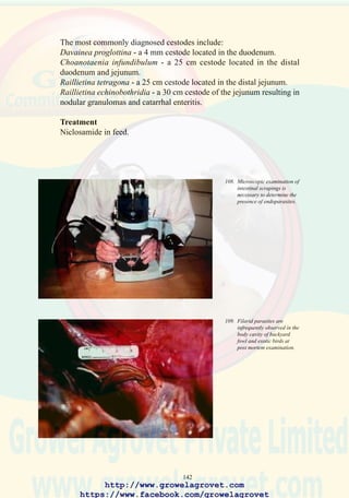 144
LOCOMOTORY ABNORMALITIES
31.0 SKELETAL DEFORMITIES AND ARTHRITIS
31.1 NUTRITIONAL ETIOLOGY
31.2 INFECTIOUS ETIOLOGY
– MYCOPLASMOSIS
– REOVIRAL ARTHRITIS
– STAPHYLOCOCCAL ARTHRITIS
31.3 PODODERMATITIS
31.4 DEVELOPMENTAL ETIOLOGY
– TWISTED LEGS
– ROTATED TIBIA
http://www.growelagrovet.com
https://www.facebook.com/growelagrovet
 