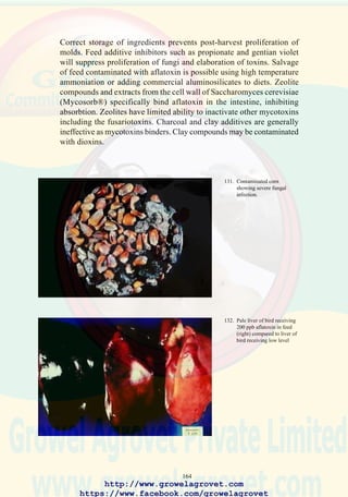166
136. Abnormal feather
formation (left) due to
fusariotoxicosis. Compare
with normal plumage on
right (Courtesy of Dr. Fred
Hoerr)
137. Diarrhea in chick fed
fusariotoxin (Courtesy of
Dr. Fred Hoerr)
138. Commercial test kits are
available to monitor for the
presence of mycotoxins.
http://www.growelagrovet.com
https://www.facebook.com/growelagrovet
 