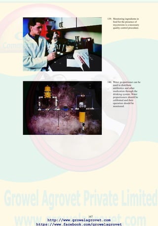 169
Clopidol anticoccidial incorporated in feed at levels ranging from 125 to
250 ppm has been used in the USA to prevent leucocytozoonosis in turkeys.
NOTE: In many countries, leucocytozoonosis is referred to incorrectly
as “malaria.” Malaria caused by Hemaproteus spp are not associated with
clinical infections in commercial chickens.
141. Leucocytozoon parasite
visible as extra-erythrocytic
structure in Giemsa-stained
blood smear.
http://www.growelagrovet.com
https://www.facebook.com/growelagrovet
 