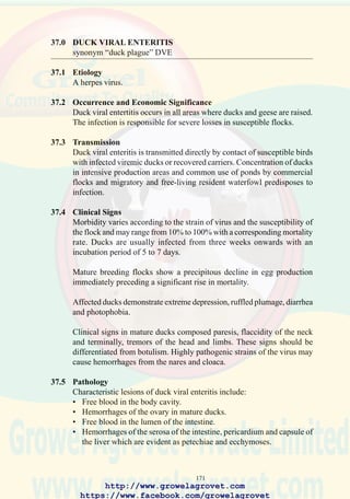 173
38.0 DUCK VIRUS HEPATITIS
38.1 Etiology
A picornavirus is responsible for duck virus hepatitis Types 1 and 3. This
agent is distinct from hepadnavirus (duck hepatitis B). An astrovirus-like
agent has been implicated in outbreaks of duck virus hepatitis Type 2 in
the UK.
38.2 Occurrence and Economic Significance
Duck virus hepatitis Types 1 and 3 occur in ducklings under 4 weeks of
age in all intensive duck-rearing areas of the world. Mortality results in
extensive losses especially with intercurrent bacterial infections including
chlamydiosis, Riemerella and E. coli infection, mycotoxicosis and
environmental stress.
38.3 Transmission
Free-living waterfowl introduce the virus. Rodents serve as reservoir hosts
on affected farms. Direct contact between infected and susceptible flocks
especially in multiage operations predisposes to disease.
38.4 Clinical Signs
Morbidity in susceptible flocks may range from 50% to 100%. Mortality
is dependent on the age of the flock, with losses of up to 90% in batches
under one week of age, declining in severity to under 10% at 4 weeks of
age. Mortality is exacerbated by intercurrent bacterial infections.
Ducklings demonstrate peracute mortality preceded by lateral recumbency
and occasionally, opisthotonos (hyperextension of the neck, “stargazing”).
38.5 Pathology
The significant lesion comprises enlargement of the liver with punctate
or ecchymotic hemorrhages. In the presence of chlamydiosis or Riemerella
spp infection, airsacculitis and peritonitis may be observed.
38.6 Diagnosis
The picoronaviruses responsible for duck virus hepatitis can be isolated
from livers using 9-day old embryonated SPF chickens inoculated by the
allantoic sac route. Serologic procedures include agar gel diffusion
precipitin test, virus neutralization in duck embryos and a plaque reduction
test to quantify neutralizing antibody.
http://www.growelagrovet.com
https://www.facebook.com/growelagrovet
 