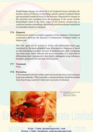 174
38.7 Treatment
No specific treatment is available. Supportive therapy is recommended.
38.8 Prevention
Hyperimmune serum from flocks surviving duck viral hepatitis can be
administered to ducklings. An injection of 0.5 ml filtered serum is
recommended using the intramuscular route. Breeders can be immunized
with a live attenuated chicken-embryo origin vaccine. Some vaccines have
shown reversion to virulence when applied to large flocks. Where possible,
single-age isolated placement programs should be followed. Rodents
should be eradicated.
143. High mortality in newly
placed ducklings has a wide
differential diagnosis
including DVH.,
salmonellosis, E. coli, and
Riemerella infection,
aspergillosis and
mycotoxicosis.
http://www.growelagrovet.com
https://www.facebook.com/growelagrovet
 