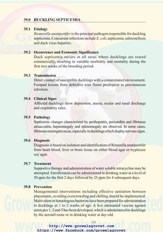 177
chlortetracycline in feed at a level of 400 grams per ton for a period of up
to two weeks. It is necessary to follow statutory requirements regarding
withdrawal periods following administration of antibiotic before sale or
slaughter of flocks, and obligatory reporting of outbreaks.
40.8 Prevention
Appropriate biosecurity procedures should be imposed to prevent
transmission from infected reservoirs including companion bird species,
free-living Psittacines and Colombibormes. It is virtually impossible to
control chlamydiosis in multiage flocks with the opportunity for direct
and indirect contact.
144. Chlamydiosis should be
considered in cases of
fibrinous peritonitis and
airsacculitis.
http://www.growelagrovet.com
https://www.facebook.com/growelagrovet
 