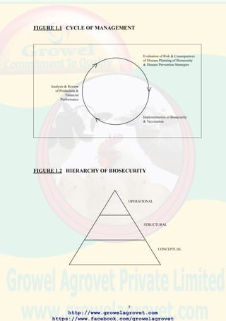 7
a range of alternatives. It is emphasized that the validity of any investment
decision is dependent on selecting an appropriate value for the risk of
infection and accurately projecting the consequences of disease, given
prevailing production costs and revenue.
2.2 Fixed and Variable Costs in Poultry Production
Costs relating to live bird production can be classified into fixed and
variable components. Fixed costs do not change as a result of an increase
in the volume of production and include depreciation, interest on fixed
capital, salaries, overhead, and lease payments.
Variable costs are proportional to the volume of production. Feed, labor,
packaging material, fuel, vaccines and medication, purchase of day-old
chicks and breeding stock, are examples of this category of production
costs. The concept of apportioning expenditure is important in projecting
the effects of disease on total production cost.Adecrease in broiler weight
delivered to a plant attributed to increased mortality or depressed growth
rate will adversely affect production cost and efficiency. Processing plants,
hatcheries, and feed mills operate at a break-even cost approximating 70%
to 80% of design capacity due to their relatively high proportion of fixed
costs.
Figure 2.1 shows the relationship between total cost, volume of production
and profit. Fixed costs which are constant are illustrated by the line parallel
to the horizontal (quantity) axis. Total costs are represented by the area
which encompasses both fixed and variable costs. In this example, unit
selling price is considered constant over volume of throughput and
accordingly revenue is linear and proportional to the quantity produced.
At the break-even point (quantity Qo) total revenue is numerically equal
to total costs.At this level of production fixed costs represent approximately
half of the total cost. At a higher throughput, variable cost assumes a
greater proportion of total cost. Offsetting fixed costs by increasing
production level is the basis of efficiency through economy of scale, which
benefits progressive integrations and cooperatives in mature industries.
In the context of individual farms, there are limits to increasing production
volume. Altering stocking density from 20 to 25 birds/m2 increases
throughput by 25%. Delaying slaughter of a broiler flock to attain a higher
live mass (1.75 to 1.95 kg) may increase biomass by 11%. Reducing
intercrop interval from 10 to 5 days may result in an 8% increase in broiler
live mass over a year. Implementing these management changes will
increase the risk of disease and intensify the financial impact of infections.
The severity of viral respiratory diseases such as bronchitis or
http://www.growelagrovet.com
https://www.facebook.com/growelagrovet
 