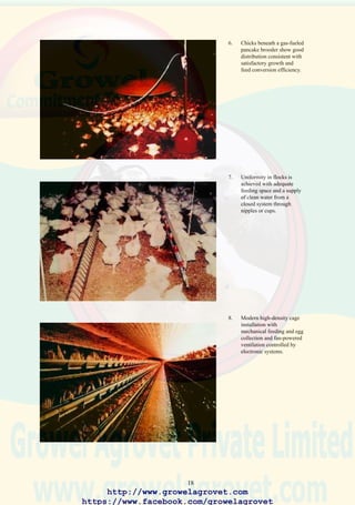 20
12. Keratitis (inflammation of
the cornea) and
conjunctivitis following
exposure to high levels of
atmospheric ammonia.
13. Pododermatitis (Bumble
foot) resulting from wet
litter. Obese cockerels and
hens are susceptible to this
condition which reduces
fertility.
14. Vent peck and
disembowelment in cage-
housed hens can be avoided
by precision beak trimming
at 7-10 days of age and
adjusting light intensity to
20 lux.
http://www.growelagrovet.com
https://www.facebook.com/growelagrovet
 