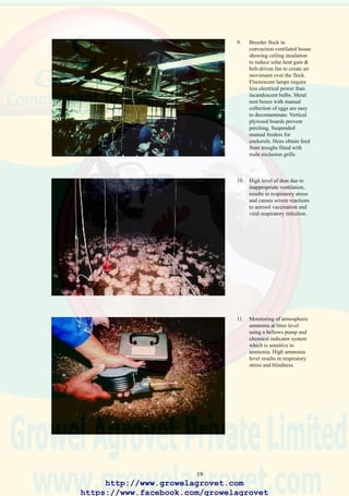 21
4.0 PREVENTION OF DISEASE
Prevention of disease in commercial poultry operations requires the
application of a coordinated program of biosecurity, vaccination and
hygiene.
4.1 Mechanisms of Disease Transmission
In order to develop control procedures it is important to understand the
mechanisms by which pathogens are introduced into commercial poultry
farms and how disease agents are disseminated among units.
Biological transmission occurs when the pathogen multiplies in the infected
host which then transmits the agent when placed in contact with susceptible
flocks.
Mechanical transmission involves transfer of a pathogen from an infected
source or reservoir host to a susceptible flock by contaminated personnel,
equipment, insect vectors, rodents, wild birds, or dust carried by wind.
The following mechanisms of transmission are recognized.
4.1.1 Transovarial Route
Pathogens may be transmitted by the vertical route from hen to progeny
via the egg. Mycoplasmosis, pullorum disease (Salmonella pullorum),
reoviruses and adenoviruses are transmitted in this way. Salmonella
enteritidis (Se) may also be transmitted vertically by incorporation of the
bacterium into the albumen of the egg in the oviduct.
4.1.2 Transmission on the Egg Shell
Pathogens such as E. coli and paratyphoid Salmonella spp deposited from
the cloaca or nest-box litter can penetrate the shell and infect the developing
embryo. This form of vertical transmission results in contamination of
the hatchery environment and direct and indirect infection of chicks.
Omphalitis and salmonellosis may be introduced into brooding and rearing
units by contaminated egg-shells.
4.1.3 Direct Transmission
Contact between susceptible flocks and clinically affected or asymptomatic
reservoirs of disease will result in infection. This situation occurs in multi-
age units and is a common method of transmitting salmonellosis, coryza,
mycoplasmosis, laryngotracheitis and pasteurellosis.
http://www.growelagrovet.com
https://www.facebook.com/growelagrovet
 