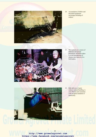 35
5.0 VACCINATION AND MEDICATION
5.1 General Principles
Vaccination involves the administration of a specific antigen to stimulate
the immune system to produce homologous antibodies against viral,
bacterial, and protozoal diseases. Vaccination programs should be based
on the following considerations:
• Diseases prevalent in the area of operation.
• Risk of exposure.
• Immune status of parent-level stock in relation to maternal antibody
transfer.
• Cost of acquisition and administration of vaccines.
• Intensity and consequences of adverse vaccine reaction.
• Flock placement programs.
• Availability of specific vaccines.
• Cost to benefit ratio associated with vaccination taking into account
the risk of infection and financial loses from disease.
5.2 Significance of Maternal Antibody in Relation to Flock Protection
Maternal antibody (parental immunity) is stimulated in breeding stock in
response to exposure to pathogens (naturally acquired maternal antibody
transfer), or by vaccination (artificially acquired immunity).
Maternal antibodies (MABs) are transferred from the serum of the hen
via the yolk to the chick. Passively acquired maternal antibody may protect
progeny against post-hatch exposure to certain pathogens for up to 2 weeks.
Circulating antibodies derived from the hen increase from day 1 to day 3
as yolk is absorbed. A waning in titer occurs over the succeeding 1-3
weeks, according to a decay rate characteristic for the antibody.
High maternal antibody is reflected in uniform and proportionally elevated
antibody levels (titers) in progeny. Low and variable immunity in parent
flocks is associated with early susceptibility of chicks.
High levels of maternal immunity often inactivate mild attenuated vaccine
virus administered to chicks. This interference phenomenon is important
in timing the first “priming” dose of vaccine which stimulates immunity
against IBD, IB and ND. The dilemma facing poultry health professionals
in developing vaccination programs for chicks is to specify the age of
administration relative to the level of maternal immunity. If the initial
vaccine is administered too early in relation to the decline in maternal
http://www.growelagrovet.com
https://www.facebook.com/growelagrovet
 