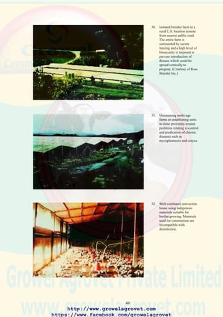 51
6.3 Control of Disease in Commercial Egg Production Units
6.3.1 Operational Biosecurity
• It is suggested that small-scale egg-production units in Asia should be
operated on an all-in-all-out basis with separate rearing and laying units.
If this is not possible, pullets should be obtained from a source known
to be free of vertically transmitted infections or diseases characterized
by a permanent carrier state such as coryza, salmonellosis or
laryngotracheitis.
• Appropriate vaccination programs should be implemented to protect
flocks against challenge. Exposure to disease will lower egg production
and reduce quality following transfer to laying units. In view of the
high investment in facilities and flocks, it is recommended that
appropriate biosecurity procedures should be implemented. Movement
of personnel should be controlled, and where possible, bulk-delivered
feed is recommended to obviate manual handling and delivery in bags.
• Since rodents are reservoirs of salmonellosis, pasteurellosis and Marek’s
disease, effective programs to suppress vermin should be an integral
component of a disease prevention program.
• Care should be exercised in using recycled egg packing material,
especially when products are distributed through dealers. Plastic flats
should be used, which can be decontaminated at the point of entry to
the farm. Culled hens should be transferred from the production unit to
a remote site for sale to live-bird dealers.
• Routine disease monitoring is necessary. Procedures include post-
mortem examination of dead birds when mortality exceeds standard
levels and periodic serum antibody assays to determine the immune
status of flocks.
• Due to the low level of mechanization in laying units inAsia, relatively
large numbers of laborers are employed to feed flocks and collect eggs.
Change-room and shower facilities are required and protective clothing
should be provided to prevent introduction of disease onto farms by
workers. Laborers invariably have contact with backyard chickens
which are reservoirs of disease.
http://www.growelagrovet.com
https://www.facebook.com/growelagrovet
 