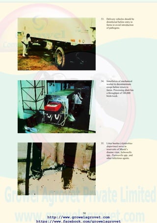 52
36. Well developed comb of a
healthy 25 week old
Leghorn hybrid hen.
37. The undeveloped comb of a
culled pullet.
38. Simple single-tier layer
cage installed in open-sided
house incorporating manual
feeding and a trough
drinker. These inexpensive
systems are extensively
used in Asia, but labor
input is high and the system
is associated with problems
of manure disposal and
houseflies.
http://www.growelagrovet.com
https://www.facebook.com/growelagrovet
 