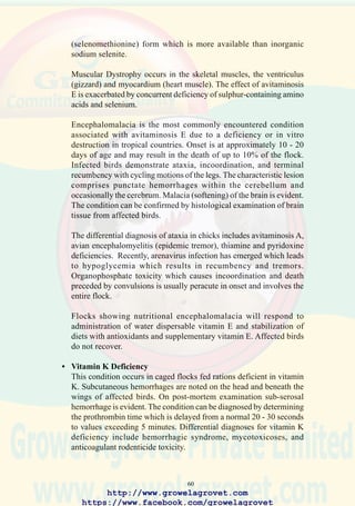 62
extreme cases displacement of the gastrocnemius tendon occurs as
perosis (“slipped tendon”).
• Sodium and or Chloride Deficiency
Failure to add supplementary salt to poultry diets composed of maize
and soybean meal will result in depressed growth rate and decreased
egg production. Young chicks will show tail picking and cannibalism.
• Zinc Deficiency
Deletion of zinc from the mineral premix will result in decreased growth
rate and chondrodystrophy.
7.3 Quality Control in Feed Manufacture
It is necessary to implement a comprehensive quality control program to
monitor the nutritional value and composition of ingredients and to ensure
thorough mixing and correct identification of diets. Standard operating
procedures consistent with industry practice should be developed and a
quality control program implemented based on laboratory analysis and a
review of production records.Acommitment to the principle of total quality
management generates the following benefits:
• enhanced performance of flocks by obviating toxicity and deficiency
in diets.
• improving client and in-company acceptance of feeds.
• improved market share and profitability.
The direct and indirect benefits of comprehensive quality control invariably
outweigh the capital and operating costs involved.
The quality of soybean meal incorporated into poultry diets is an important
contributor to performance of broilers and mature stock. Routine assays
should include:
• moisture
• crude protein
• fat
• urease activity
• protein solubility in 0.02% potassium hydroxide
Information on analytical procedures, normal values, storage of soybean
meal and formulation is available from an ASA International Office.
http://www.growelagrovet.com
https://www.facebook.com/growelagrovet
 