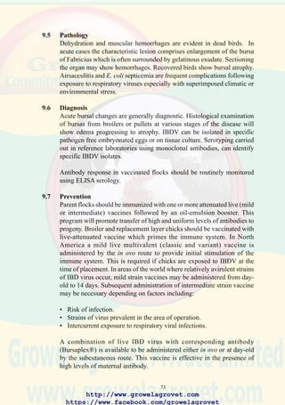 75
57. Characteristic subcutaneous
and intramuscular
hemorrhages associated
with infectious bursal
disease. This condition
should be differentiated
from mycotoxicosis and
anti-coagulant toxicity.
(Courtesy of Dr. P.D.
Lukert, AAAP Slide Set)
58. Enlarged bursa of Fabricius
typical of acute infectious
bursal disease infection.
Note urate accumulation on
vent plumage and enlarged
kidneys.
59. Severe nephritis
characterized by pallor and
urate deposit may be
associated with
nephropathogenic strains of
infectious bronchitis virus,
infectious bursal disease or
water deprivation.
http://www.growelagrovet.com
https://www.facebook.com/growelagrovet
 