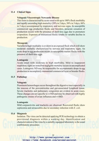 82
62. The trachea yields virus for
PCR analysis and for
isolation and identification
of viral and bacterial
pathogens of the respiratory
tract.
63. Broiler flock showing high
morbidity and mortality due
to velogenic Newcastle
disease or HPAI. (Courtesy
University of Pennsylvania)
64. Torticollis in an immature
chicken infected with
velogenic Newcastle
disease.
http://www.growelagrovet.com
https://www.facebook.com/growelagrovet
 