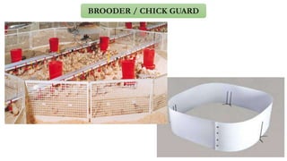 Poultry equipment.pptx
