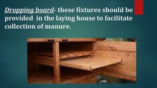 Dropping board- these fixtures should be
provided in the laying house to facilitate
collection of manure.
 