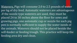 Waterers. Pigs will consume 2.0 to 2.5 pounds of water
per kg of dry feed. Automatic waterers are advantageous
.If the nozzle type waterers are used, they must be
placed 24 to 30 inches above the floor for sows and
growing pigs, one automatic cup or nozzle for each pig
pen is normally sufficient to supply the water needs of
the animals. Waterers should not be placed beside the
self-feeder or feeding trough. This practice will keep the
feeding area dry and clean.
 