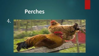 4.
Perches
 