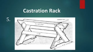 5.
Castration Rack
 