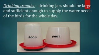Drinking troughs - drinking jars should be large
and sufficient enough to supply the water needs
of the birds for the whole day.
 