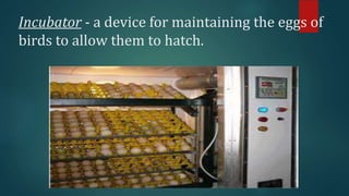 Incubator - a device for maintaining the eggs of
birds to allow them to hatch.
 