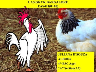 UAS GKVK BANGALORE
EAS421(0+10)
JULIANA D’SOUZA
ALB7076
4th BSC Agri
“A” Section(A2)
 