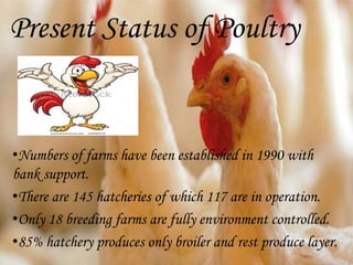 Present Status of Poultry
•Numbers of farms have been established in 1990 with
bank support.
•There are 145 hatcheries of which 117 are in operation.
•Only 18 breeding farms are fully environment controlled.
•85% hatchery produces only broiler and rest produce layer.
 