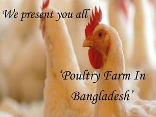 We present you all
‘Poultry Farm In
Bangladesh’
 
