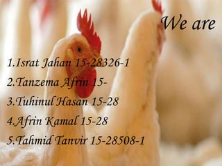 We are
1.Israt Jahan 15-28326-1
2.Tanzema Afrin 15-
3.Tuhinul Hasan 15-28
4.Afrin Kamal 15-28
5.Tahmid Tanvir 15-28508-1
 