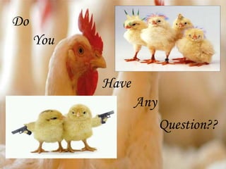 Poultry farm in Bangladesh