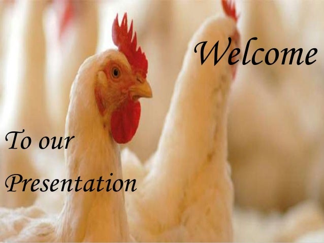 Poultry farm in Bangladesh