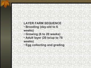 Poultry farming Shared By Abdul Qahar | PPT