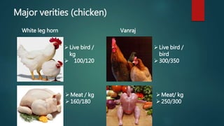 Major verities (chicken)
Live bird /
kg
 100/120
Meat / kg
160/180
Live bird /
bird
300/350
Meat/ kg
250/300
VanrajWhite leg horn
 