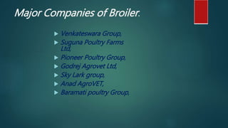 Major Companies of Broiler.
 Venkateswara Group,
 Suguna Poultry Farms
Ltd,
 Pioneer Poultry Group,
 Godrej Agrovet Ltd,
 Sky Lark group,
 Anad AgroVET,
 Baramati poultry Group,
 