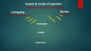 Supply & mode of payment
company farmer
wholesaler
retailer
consumer
 