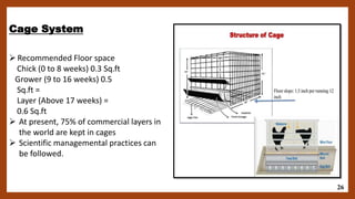 poultry_farming_.....final presentation.pptx