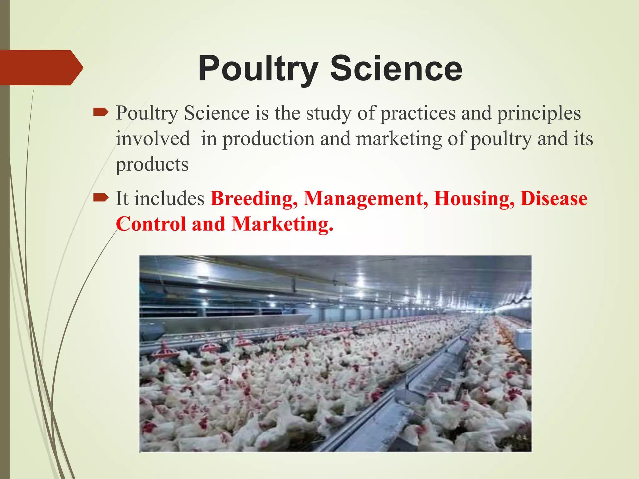 Poultry Farming Lecture Pptx