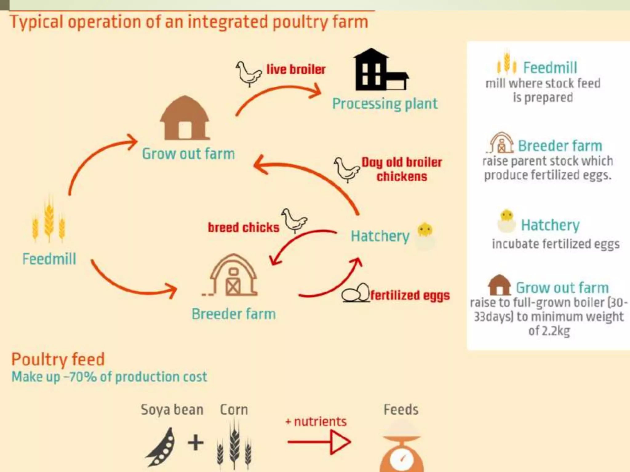 Poultry Farming Lecture Pptx