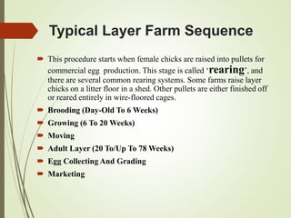 Typical Layer Farm Sequence
 This procedure starts when female chicks are raised into pullets for
commercial egg production. This stage is called ‘rearing’, and
there are several common rearing systems. Some farms raise layer
chicks on a litter floor in a shed. Other pullets are either finished off
or reared entirely in wire-floored cages.
 Brooding (Day-Old To 6 Weeks)
 Growing (6 To 20 Weeks)
 Moving
 Adult Layer (20 To/Up To 78 Weeks)
 Egg Collecting And Grading
 Marketing
 
