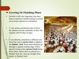  Growing Or Finishing Phase
 Growth is still very important, but since
feed is expensive careful costing is carried
out to keep expenses to a minimum
 A low amino acid density diet is fed to
the chickens for the remainder of their life
(usually until 42 days of age).
 A coccidiostat, sometimes a different one
from that used in starter feed, is added to
the finisher feed. Some meat chickens go
through a separate rearing stage, with a
special rearing ration (grower feed) being
fed to them before they are placed on a
finisher feed, but most go straight from
starter to finisher feed.
 