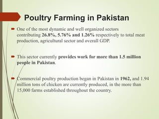 Poultry Farming in Pakistan
 One of the most dynamic and well organized sectors
contributing 26.8%, 5.76% and 1.26% respectively to total meat
production, agricultural sector and overall GDP.
 This sector currently provides work for more than 1.5 million
people in Pakistan.
 Commercial poultry production began in Pakistan in 1962, and 1.94
million tons of chicken are currently produced, in the more than
15,000 farms established throughout the country.
 