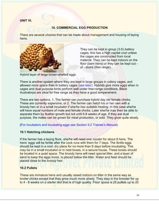 Poultry Farming Training Course | PDF