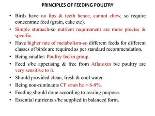 Feeding of Broiler, Layer, Duck, Guine fowl, Japanese Quail, Emu ...