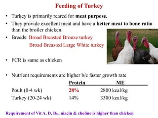 Feeding of Broiler, Layer, Duck, Guine fowl, Japanese Quail, Emu ... - Quail Nutrition Requirements Frozen Broilers
