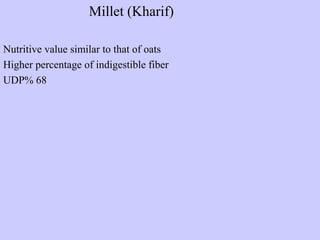 Millet (Kharif)
Nutritive value similar to that of oats
Higher percentage of indigestible fiber
UDP% 68
 