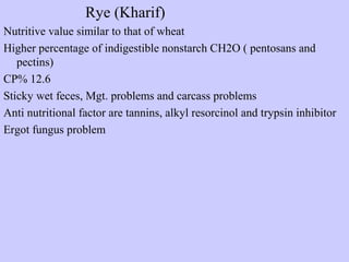 Rye (Kharif)
Nutritive value similar to that of wheat
Higher percentage of indigestible nonstarch CH2O ( pentosans and
pectins)
CP% 12.6
Sticky wet feces, Mgt. problems and carcass problems
Anti nutritional factor are tannins, alkyl resorcinol and trypsin inhibitor
Ergot fungus problem
 
