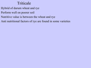 Triticale
Hybrid of durum wheat and rye
Perform well on poorer soil
Nutritive value is between the wheat and rye
Anti nutritional factors of rye are found in some varieties
 