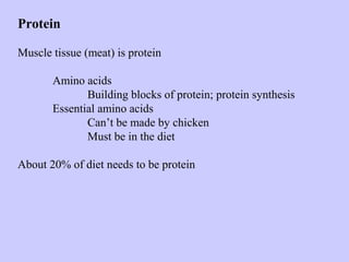 Protein
Muscle tissue (meat) is protein
Amino acids
Building blocks of protein; protein synthesis
Essential amino acids
Can’t be made by chicken
Must be in the diet
About 20% of diet needs to be protein
 