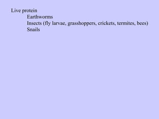 Live protein
Earthworms
Insects (fly larvae, grasshoppers, crickets, termites, bees)
Snails
 