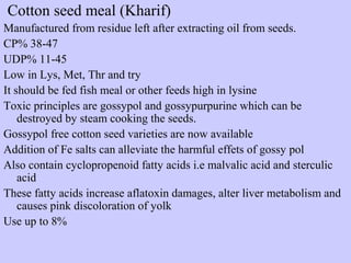 Cotton seed meal (Kharif)
Manufactured from residue left after extracting oil from seeds.
CP% 38-47
UDP% 11-45
Low in Lys, Met, Thr and try
It should be fed fish meal or other feeds high in lysine
Toxic principles are gossypol and gossypurpurine which can be
destroyed by steam cooking the seeds.
Gossypol free cotton seed varieties are now available
Addition of Fe salts can alleviate the harmful effets of gossy pol
Also contain cyclopropenoid fatty acids i.e malvalic acid and sterculic
acid
These fatty acids increase aflatoxin damages, alter liver metabolism and
causes pink discoloration of yolk
Use up to 8%
 