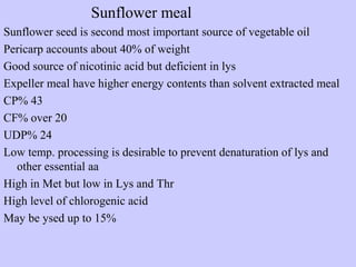 Sunflower meal
Sunflower seed is second most important source of vegetable oil
Pericarp accounts about 40% of weight
Good source of nicotinic acid but deficient in lys
Expeller meal have higher energy contents than solvent extracted meal
CP% 43
CF% over 20
UDP% 24
Low temp. processing is desirable to prevent denaturation of lys and
other essential aa
High in Met but low in Lys and Thr
High level of chlorogenic acid
May be ysed up to 15%
 